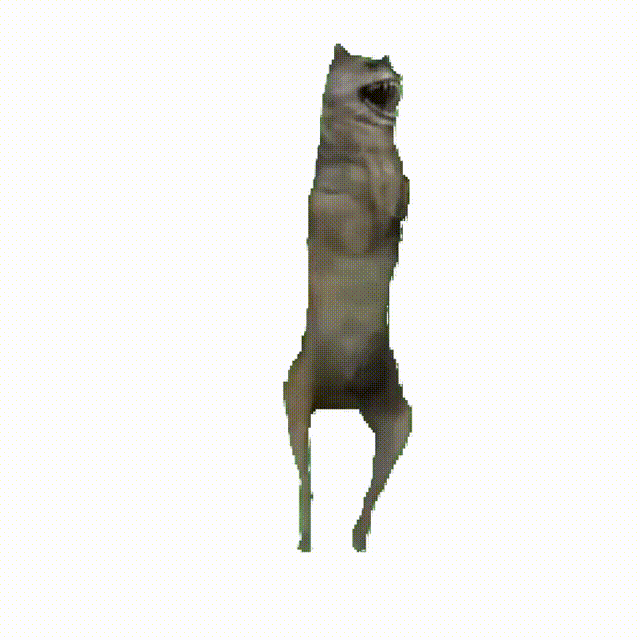 中间动画